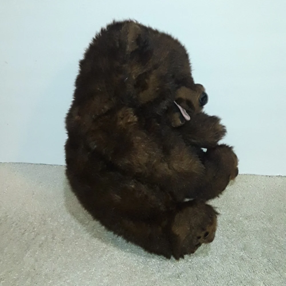 RARE VINTAGE DISNEY PARKS DISNEYLAND COUNTRY BEAR 16